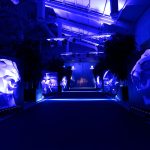 Peugeot 508 & Rifter