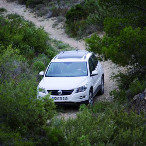 VW estilo Benidorm 731